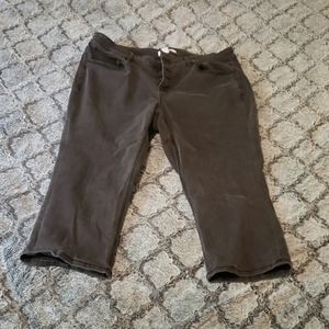 Black Lane Bryant crop pants